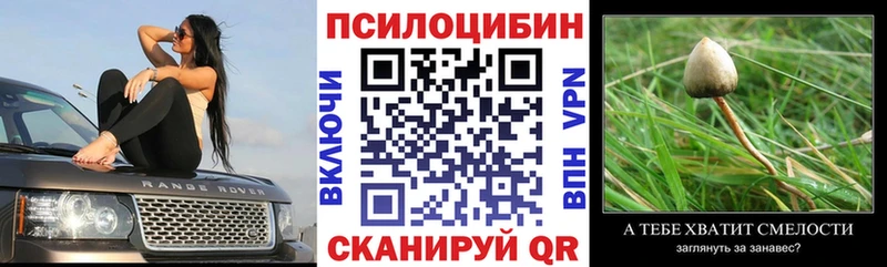 Галлюциногенные грибы Psilocybe  купить наркотики сайты  Камышлов 